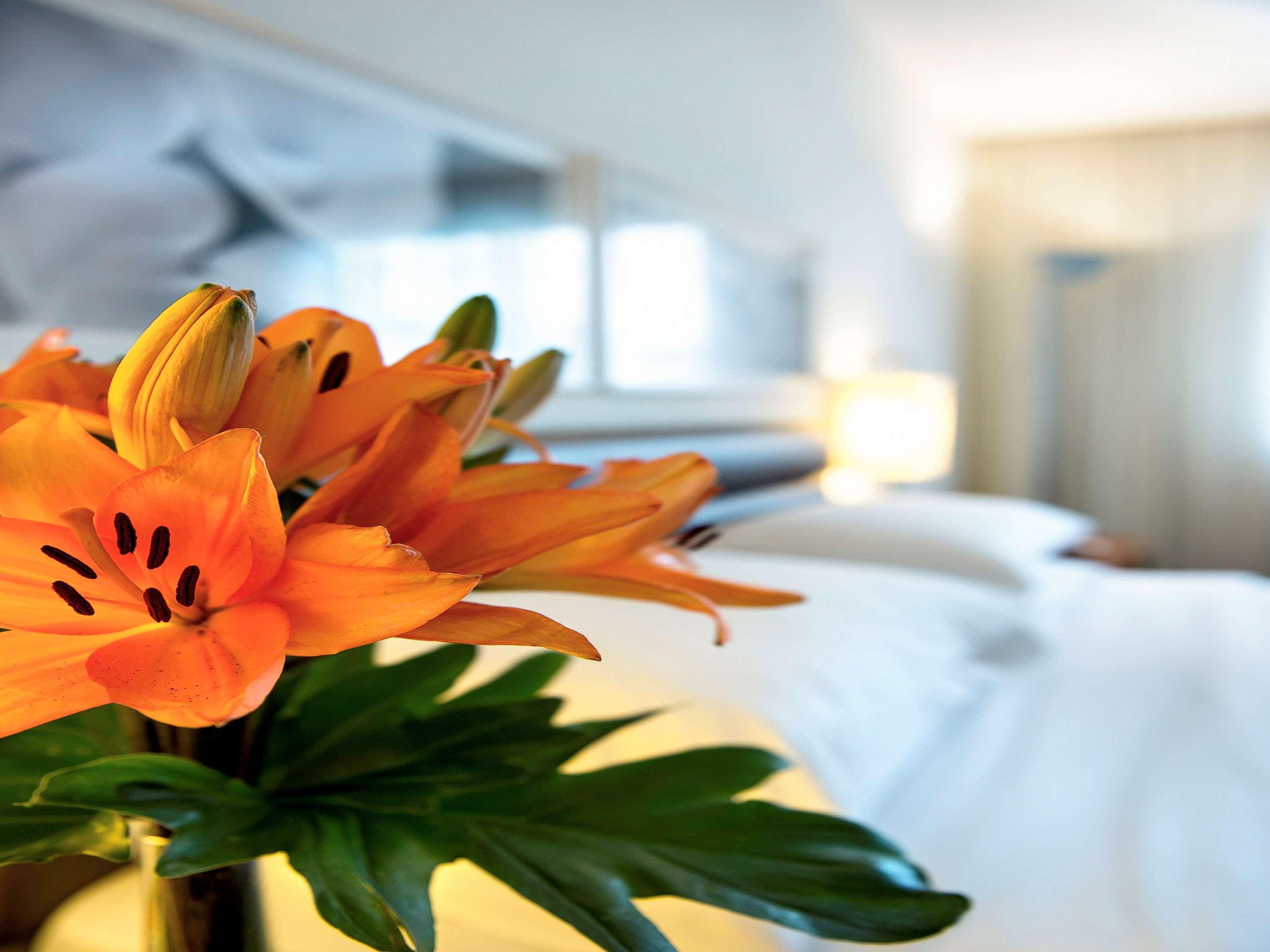Grand Mercure Olimpia Hotel São Paulo