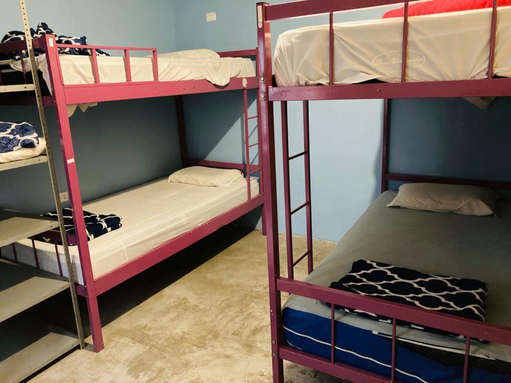 Albergue Wanderlust G *
