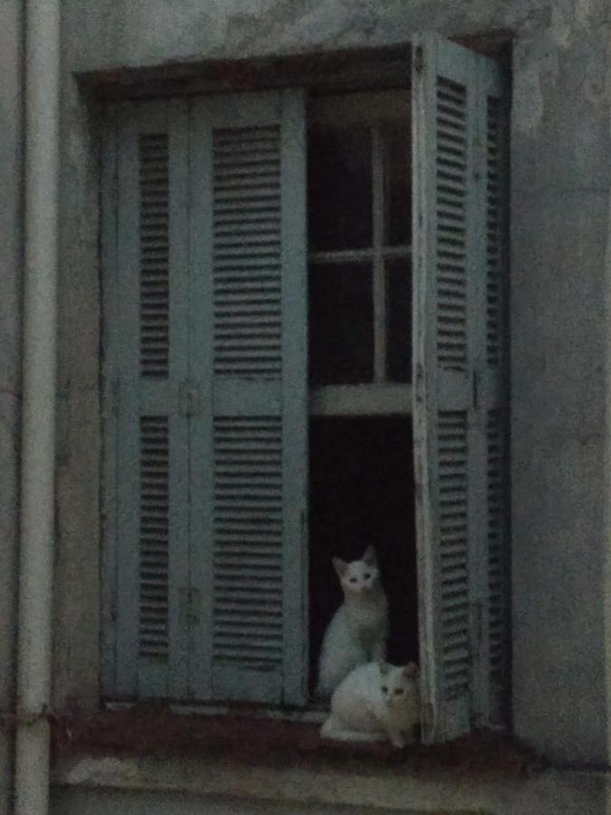 Quarto Em Casa Atelie Com Sol No Quintal