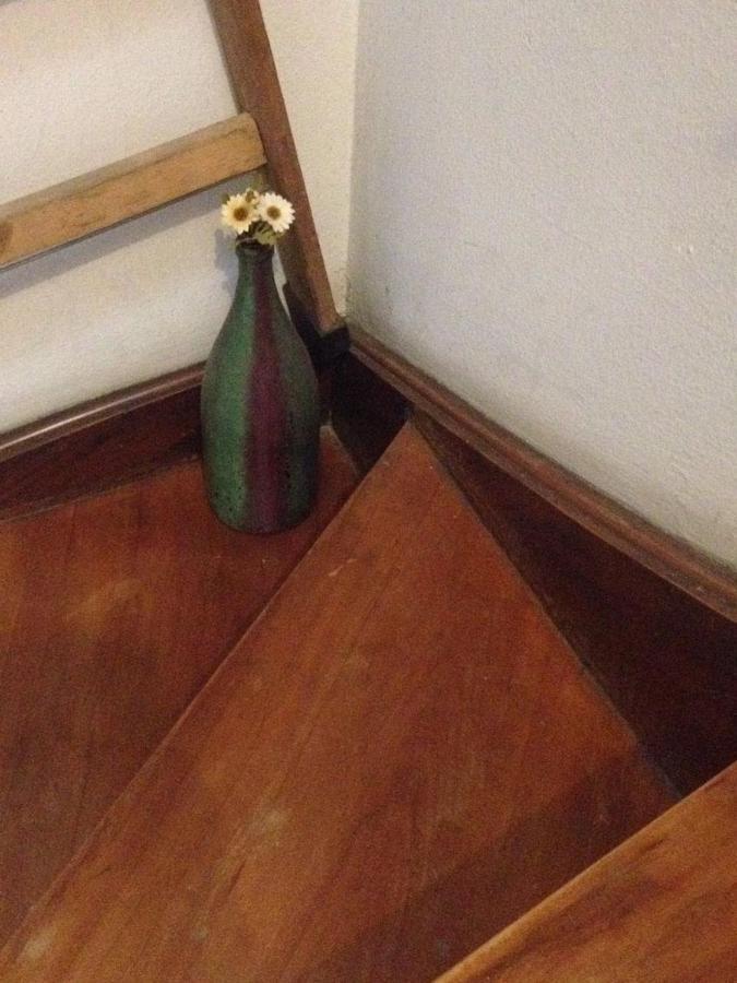 Homestay Quarto Em Casa Atelie Com Sol No Quintal Sao Paulo