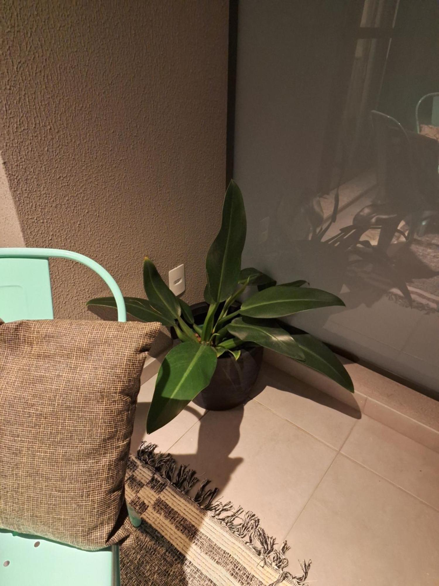 Cafofinho Decor Apartamento São Paulo