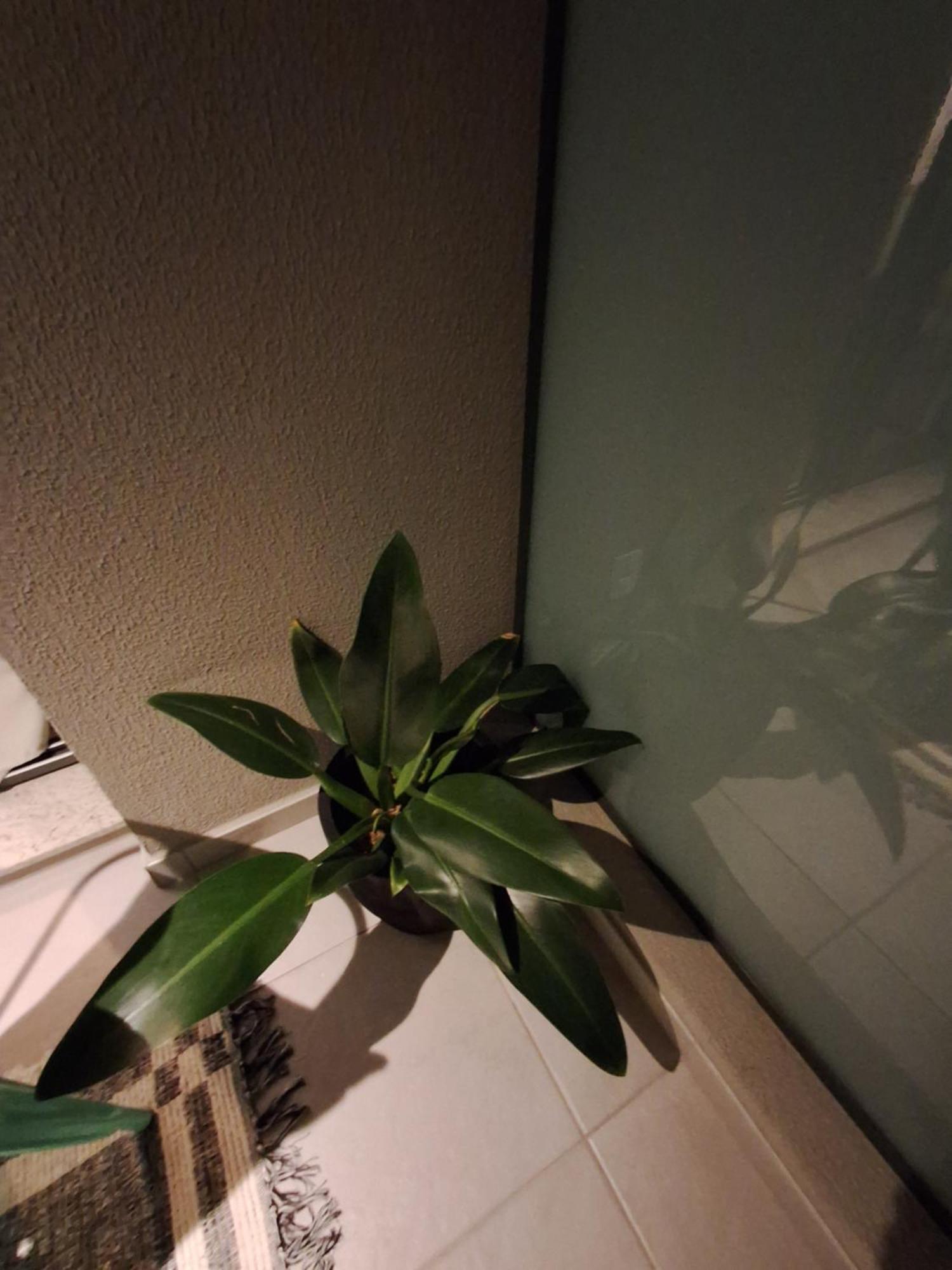 Apartamento Cafofinho Decor