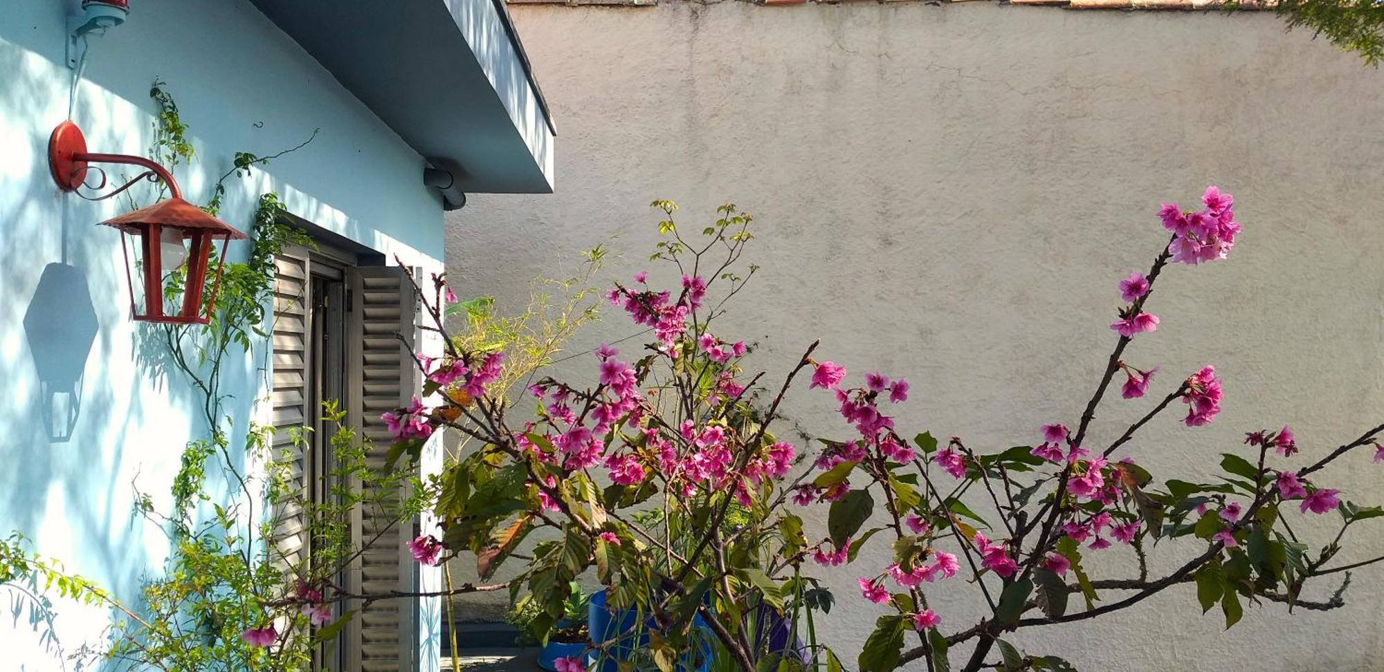 Micasa - Congonhas Albergue *