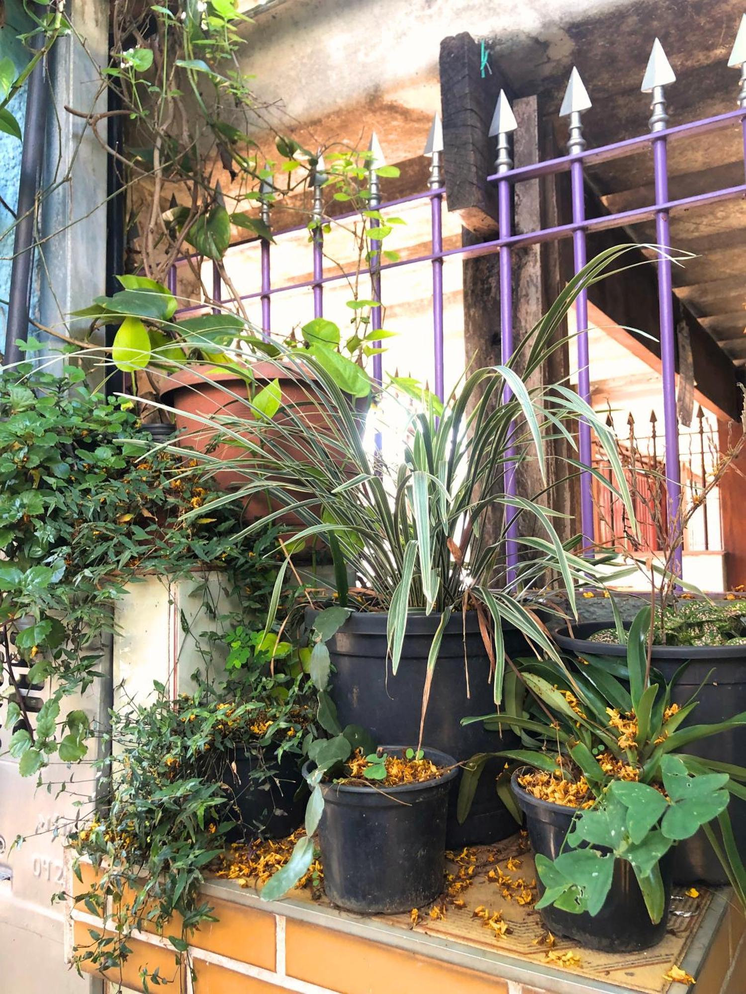 Albergue Micasa - Congonhas São Paulo