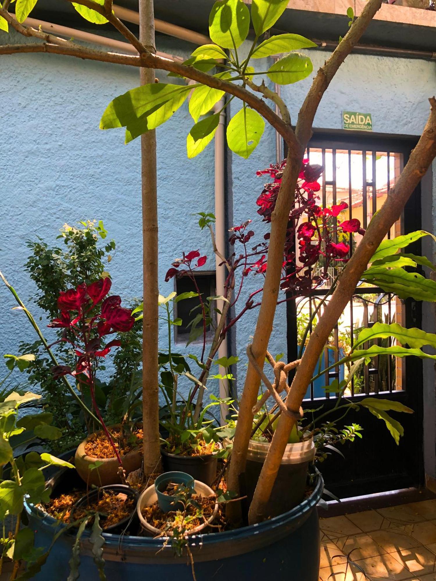 Micasa - Congonhas Albergue