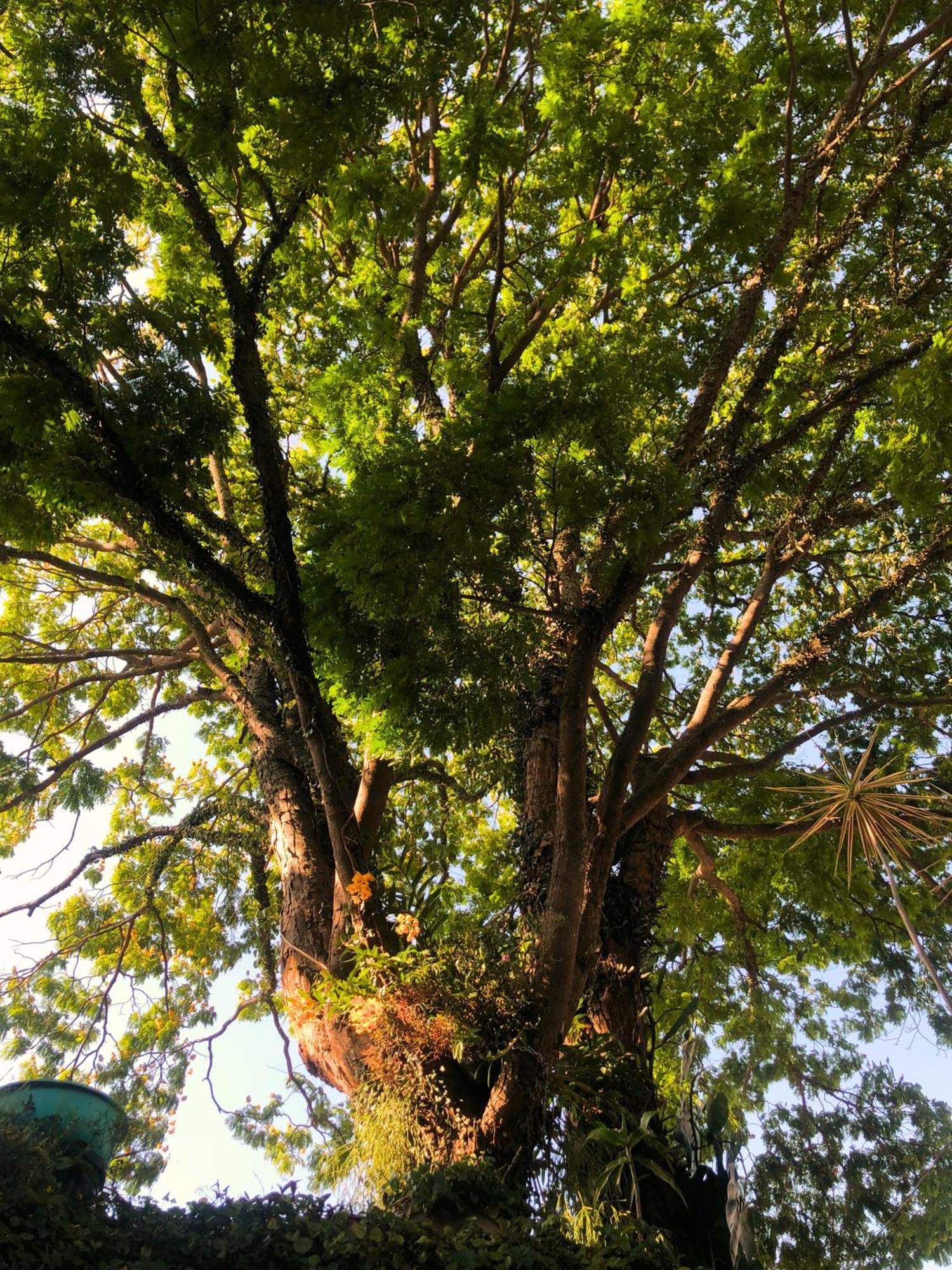 Albergue Micasa - Congonhas