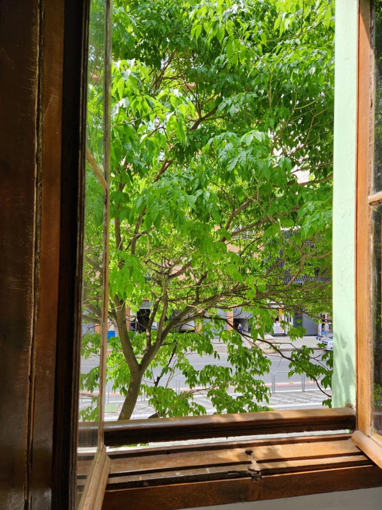 Hostel Fujima *