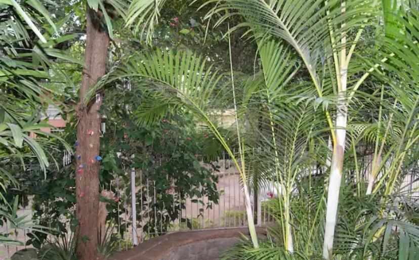 No Bairro Sumare São Paulo