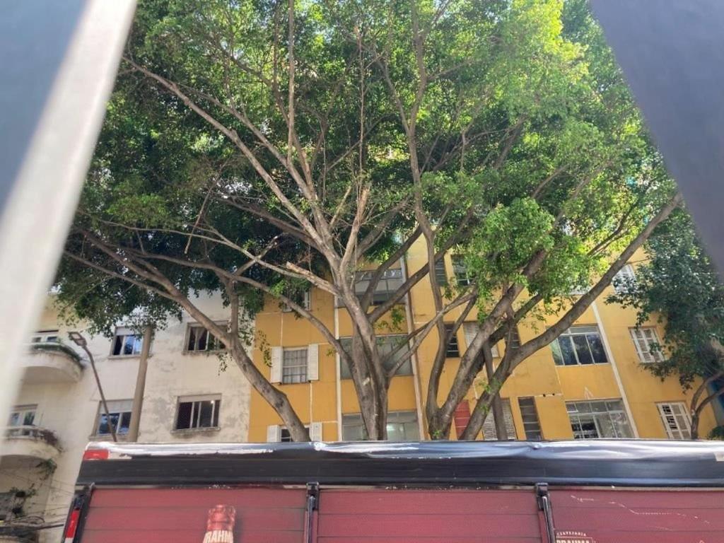 Alice Thome Apartamento São Paulo
