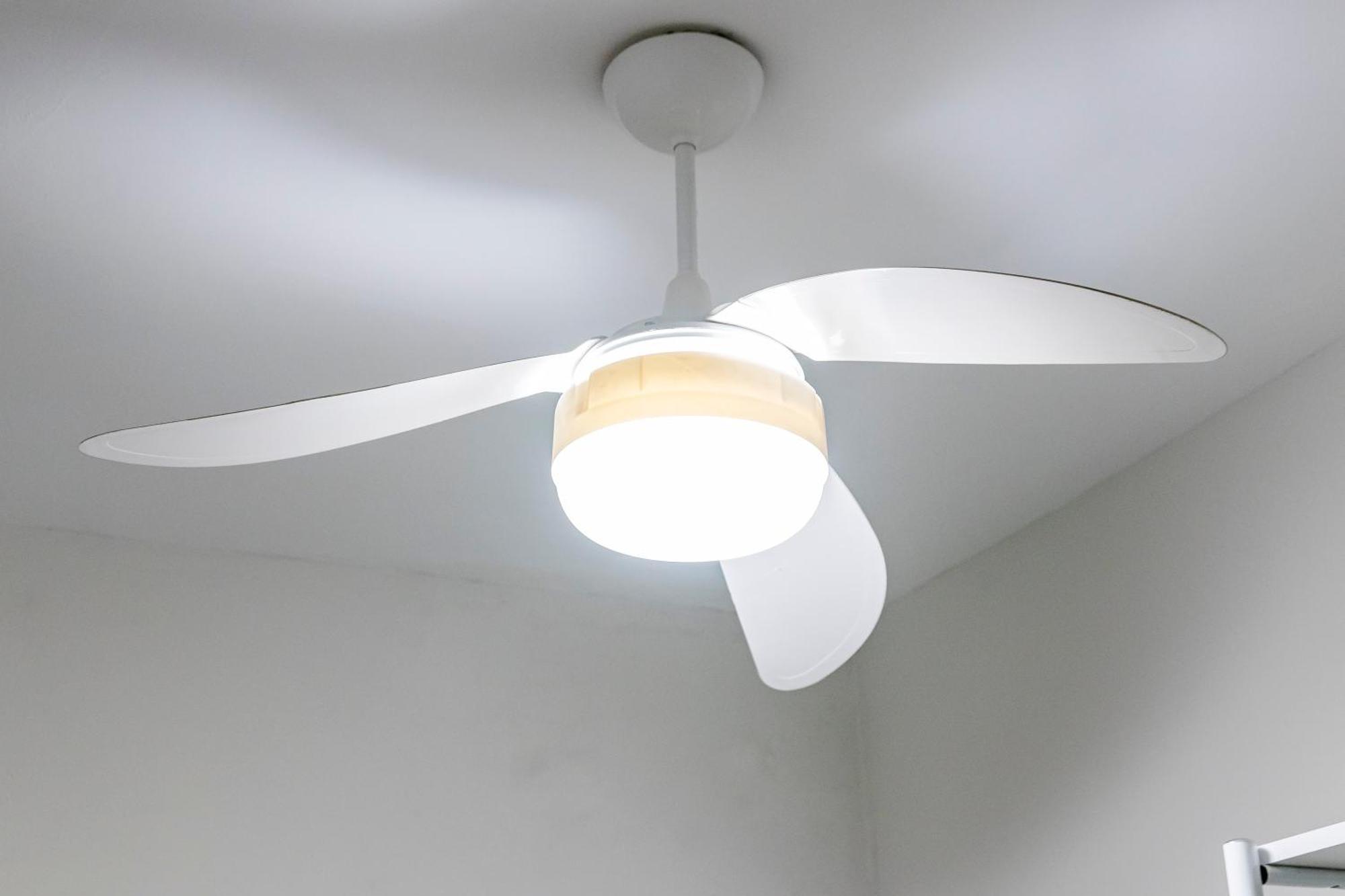 Domus Garden - Hostel, E Coliving Albergue *