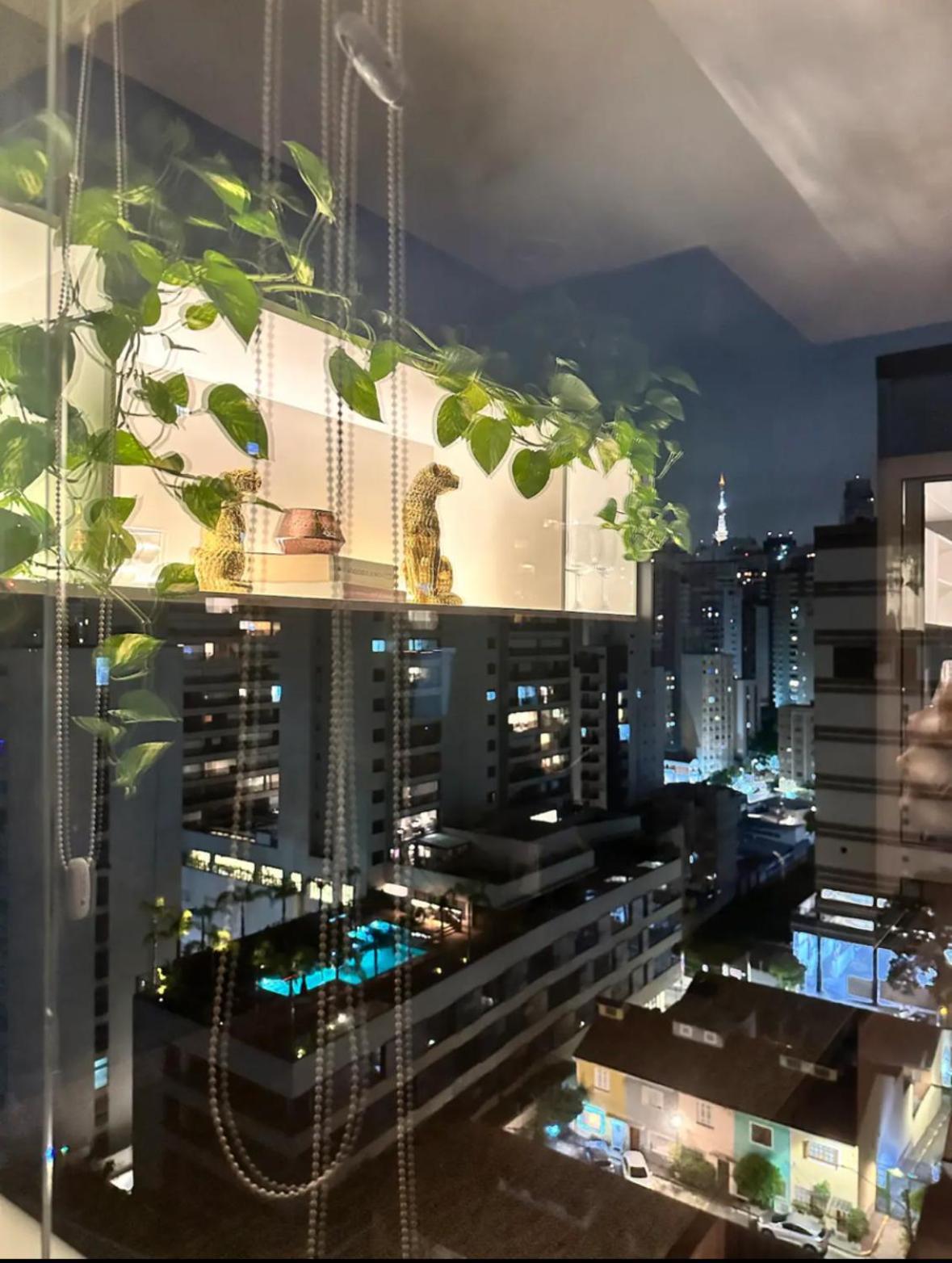 Apartment Alto Padrao *