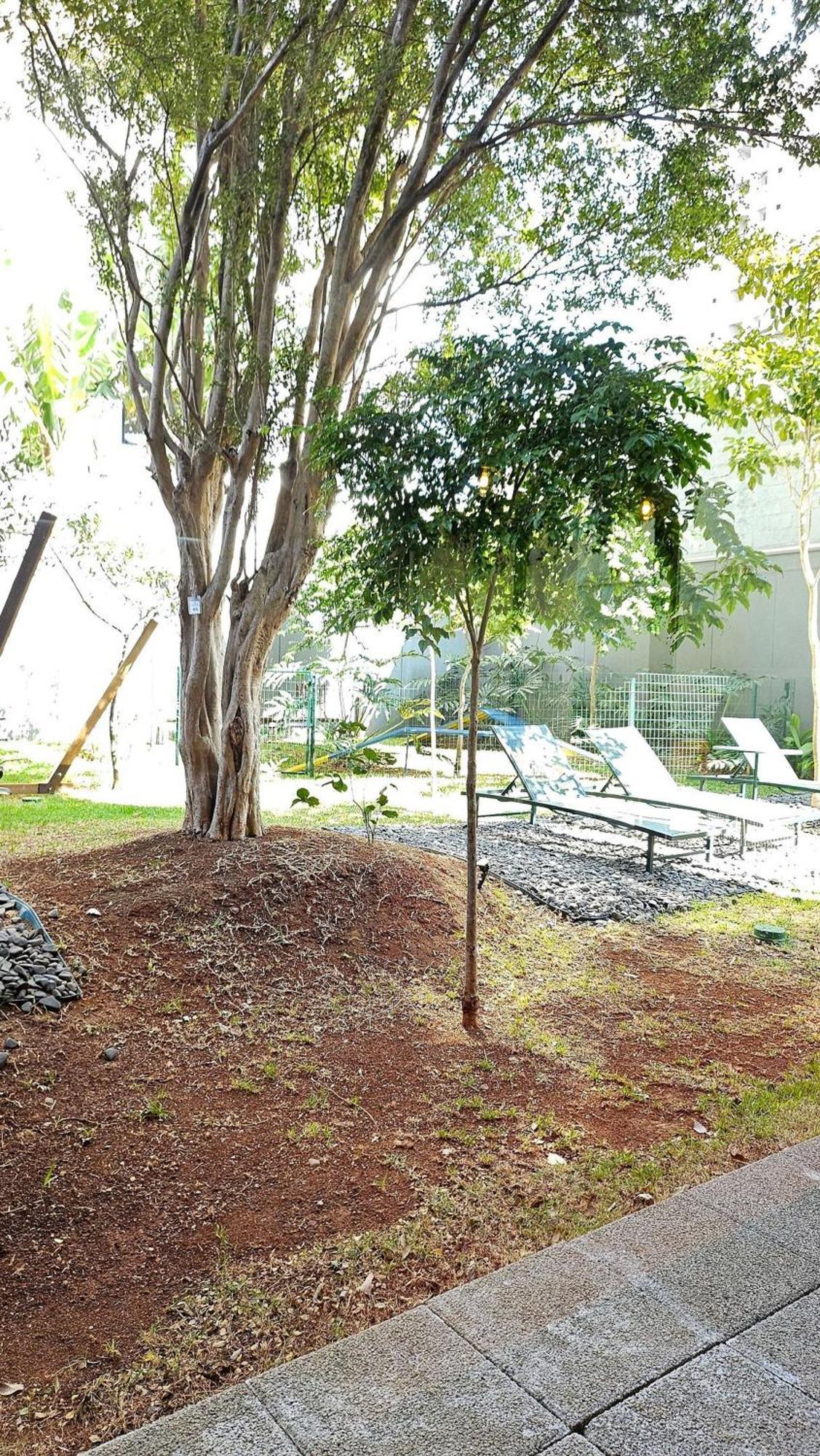 Imares - Venha Usufruir O Bairro Moema E Relaxe Por Aqui! * São Paulo