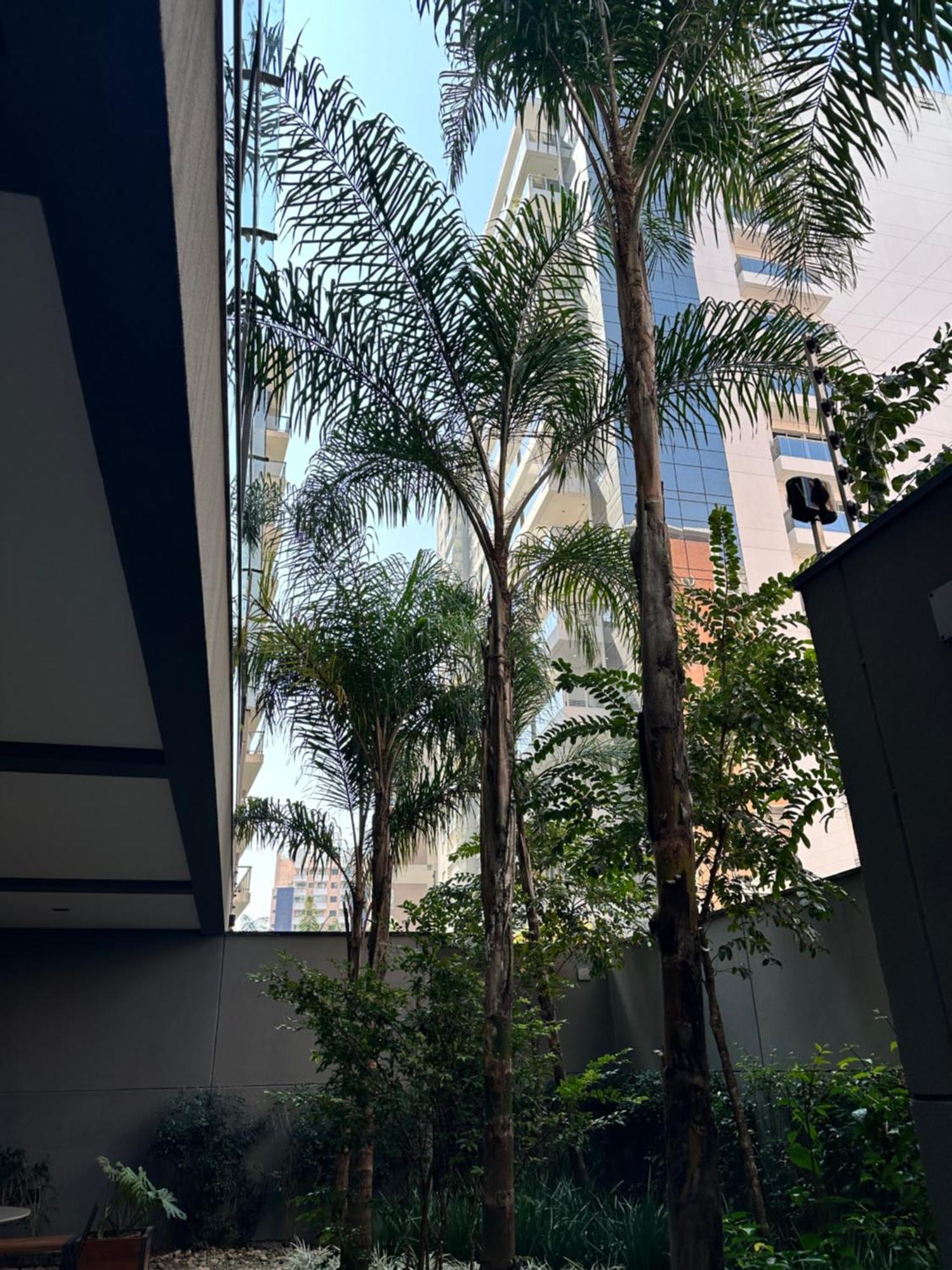Ap102 Prox Paulista Com Varanda Retiro Urbano Apartamento São Paulo