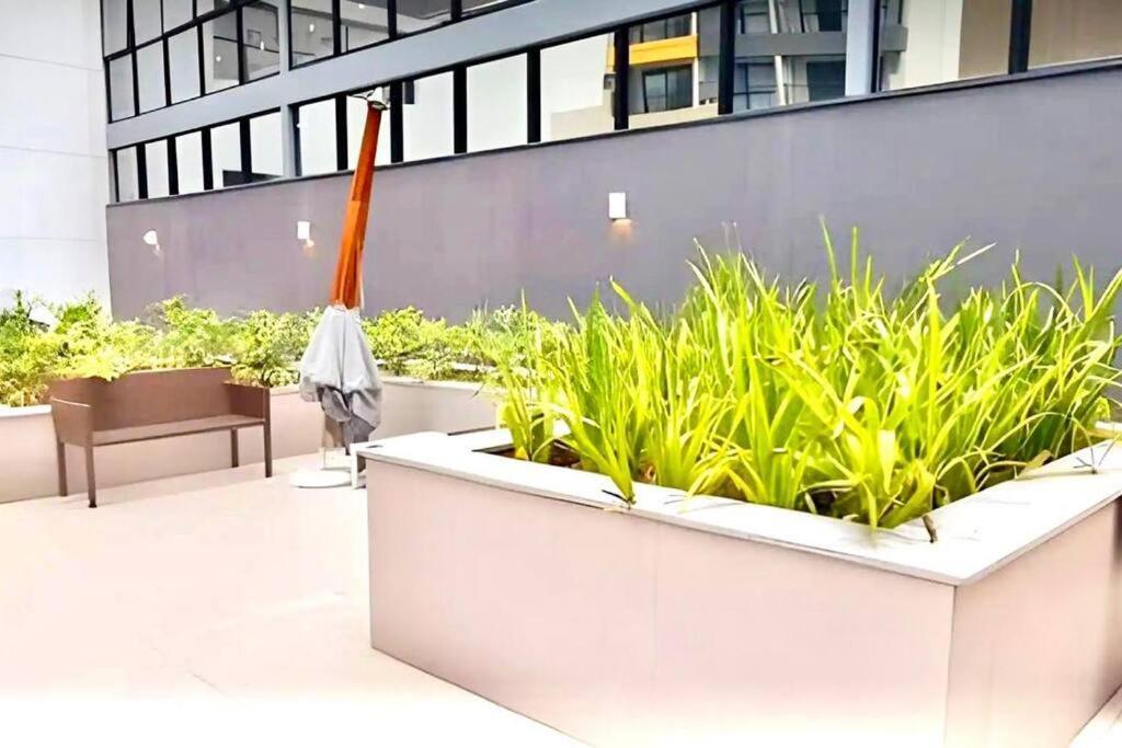 Apartamento 1601 - Rentaqui Sirio Libanes Bela Vista