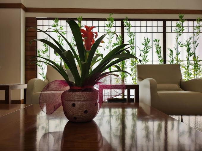 Luz Plaza Hotel São Paulo