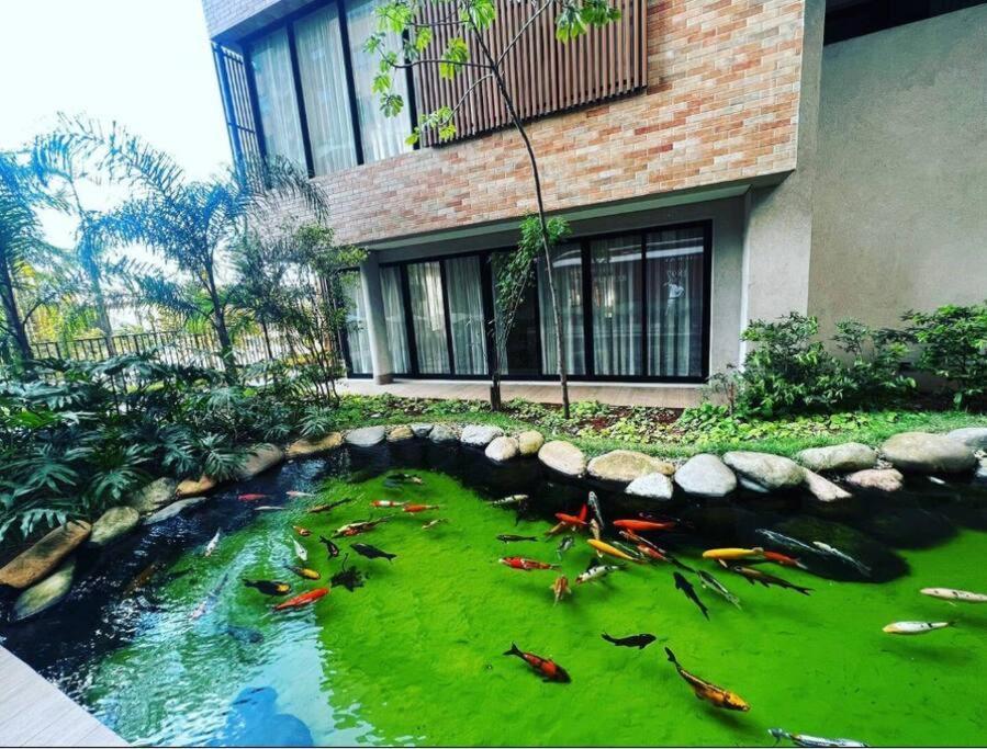 Ap Garden Em Bras, Expo Center Apartamento