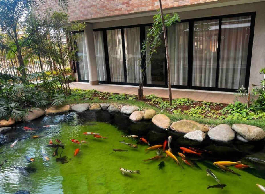 Ap Garden Em Bras, Expo Center Apartamento *
