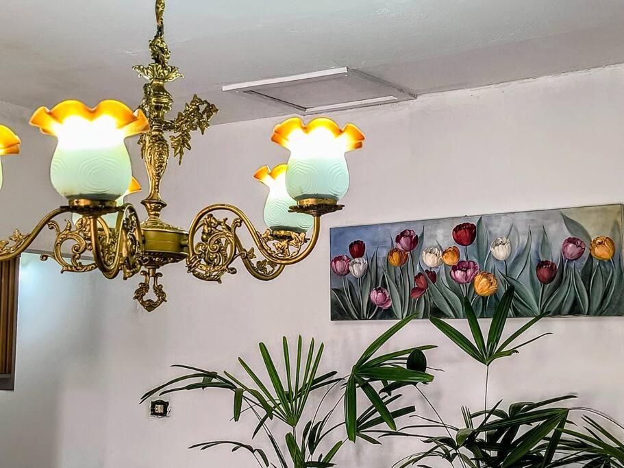 Casa Imperial No Analia Franco Pousada