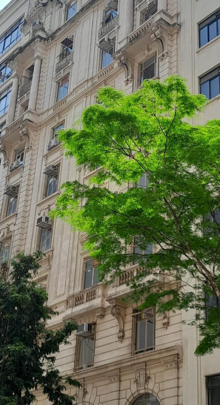 Apartamento Excelente Ape Centro Sp - A Pe *