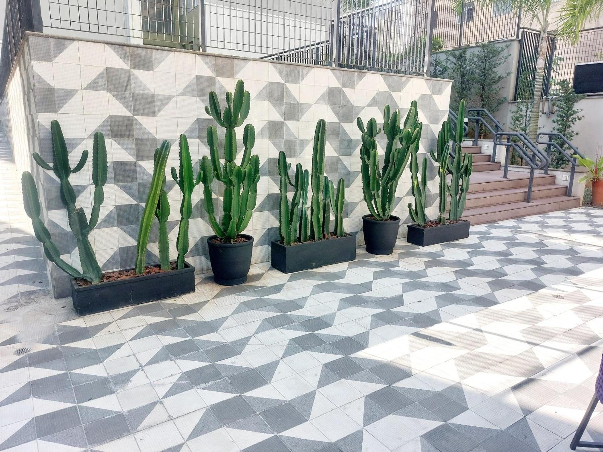 Apartamento Tem Piscina Academia Sauna Squash São Paulo