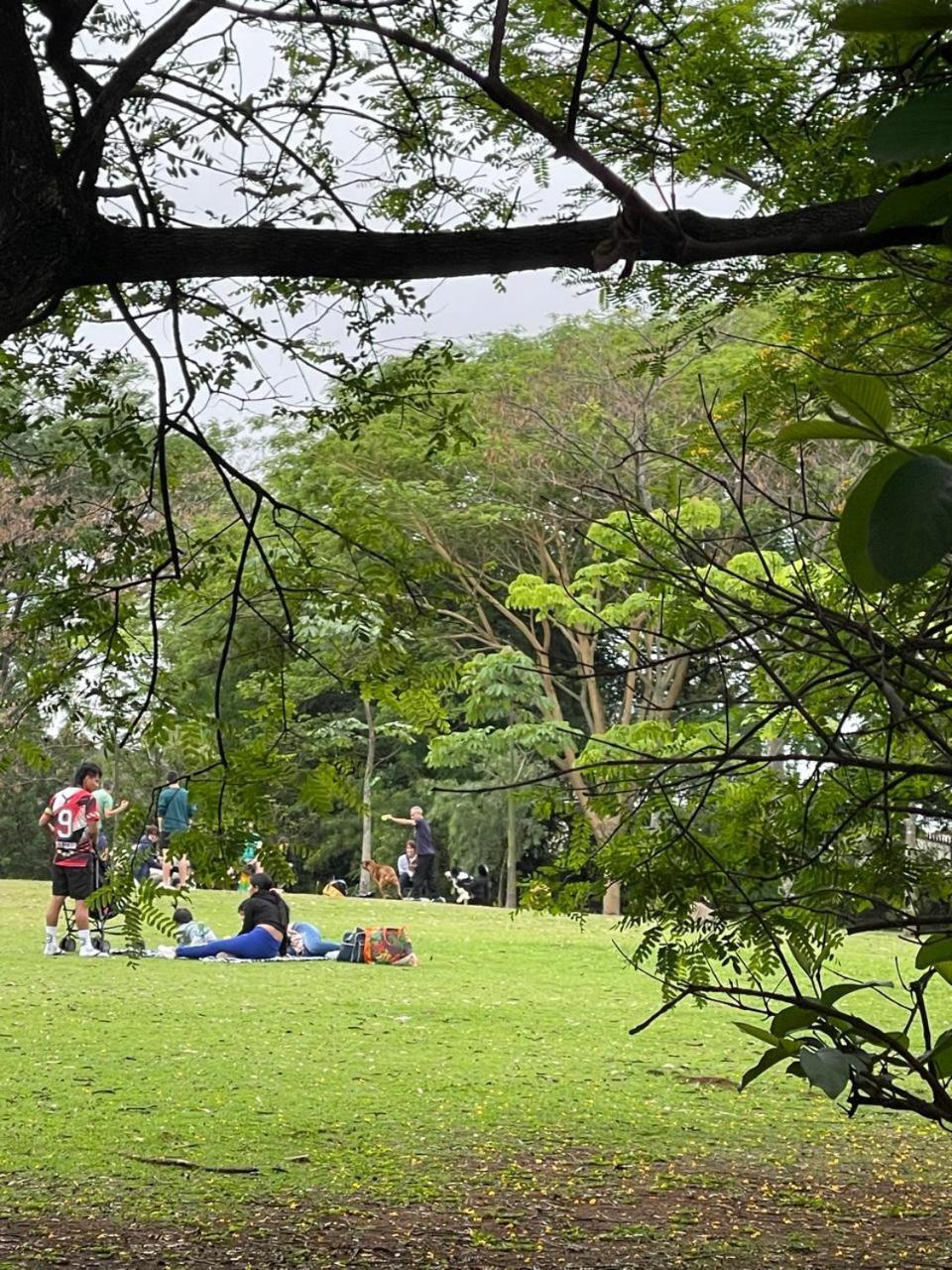 Kit 11 Comfort Casa de férias São Paulo