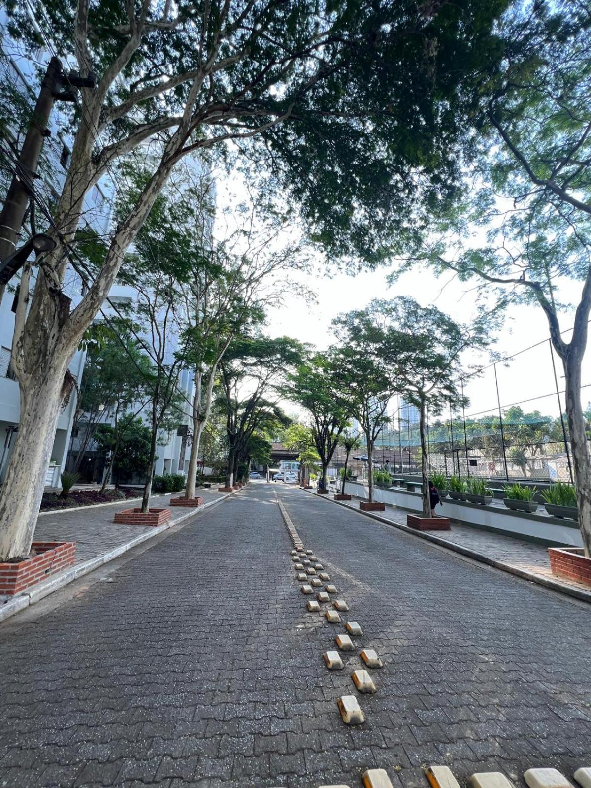 Amazonas, Ibc, Aeroporto Congonhas, Expo Transamerica, Pq Da Monica,, Pne, The Tow, Lolla Palluza Apartamento *