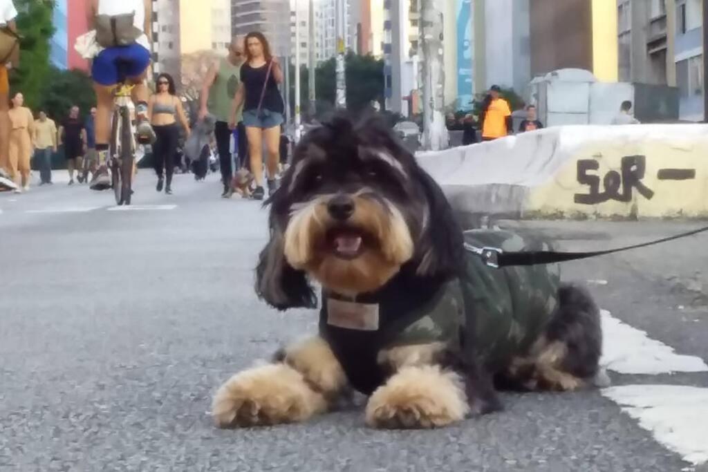 Boulevard São Paulo