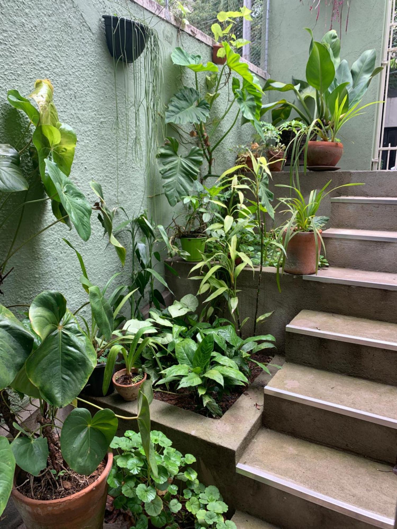 Casa Charmosa E Artistica No Coracao De Apartment Sao Paulo
