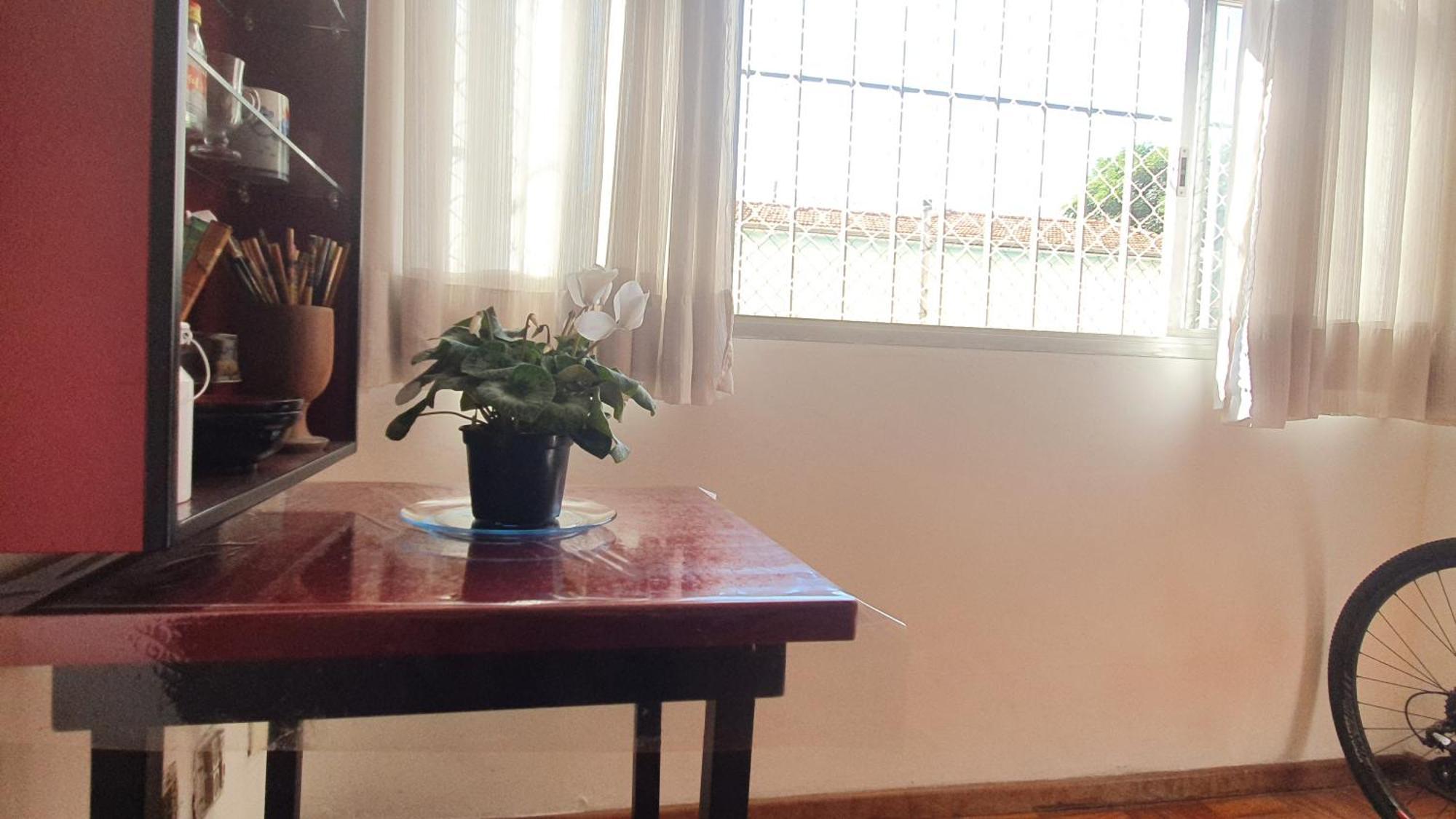 House Apartamento São Paulo
