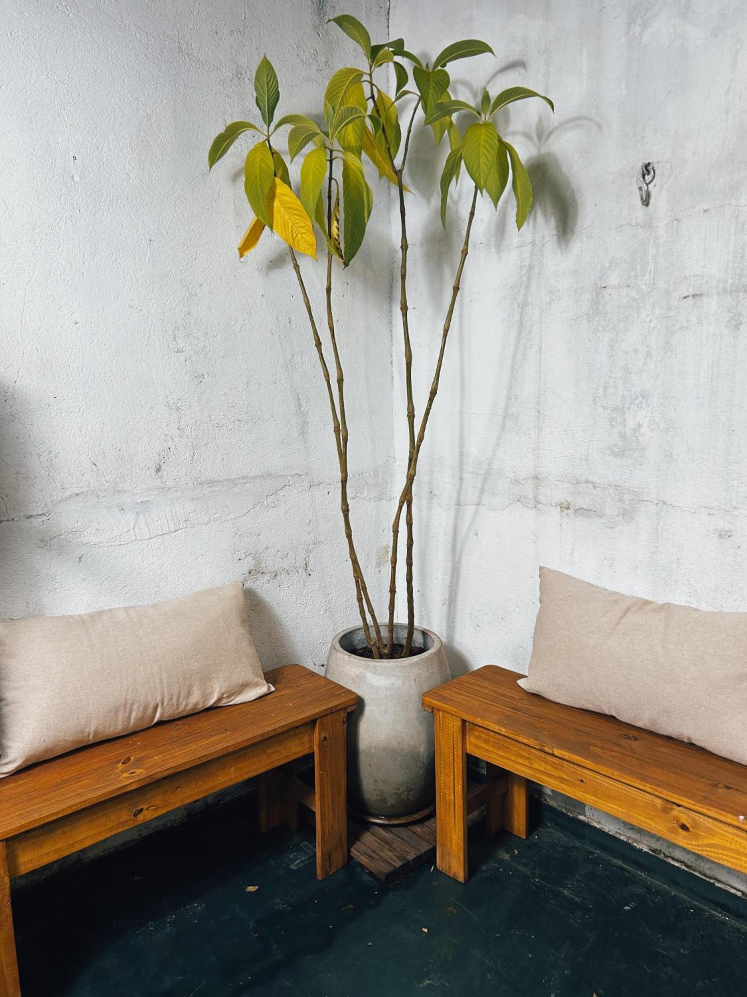 Holiday home Charme Em Casa De - Localizacao Sp *
