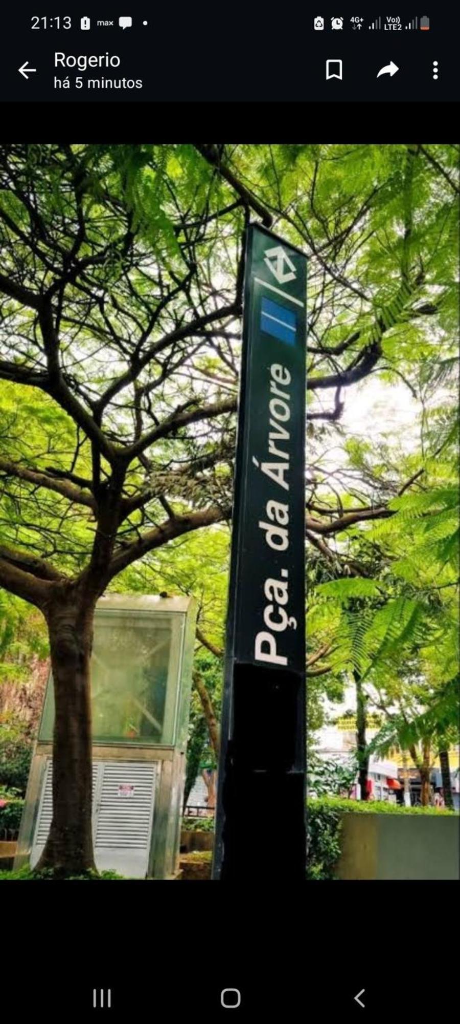 Sx * São Paulo