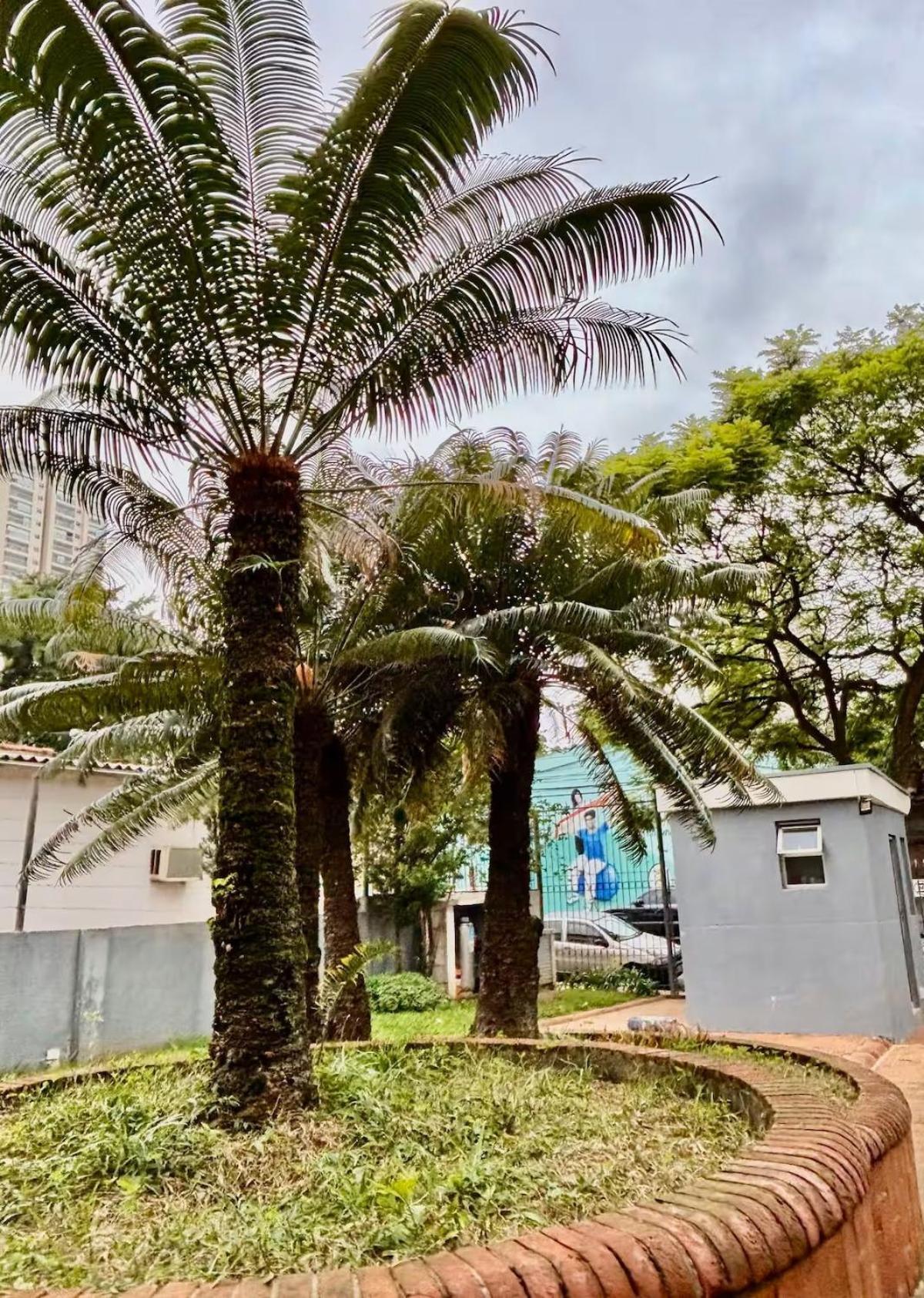 Apartamento Apto Gorgeous, Confortable, Near Aeroporto Congonhas São Paulo
