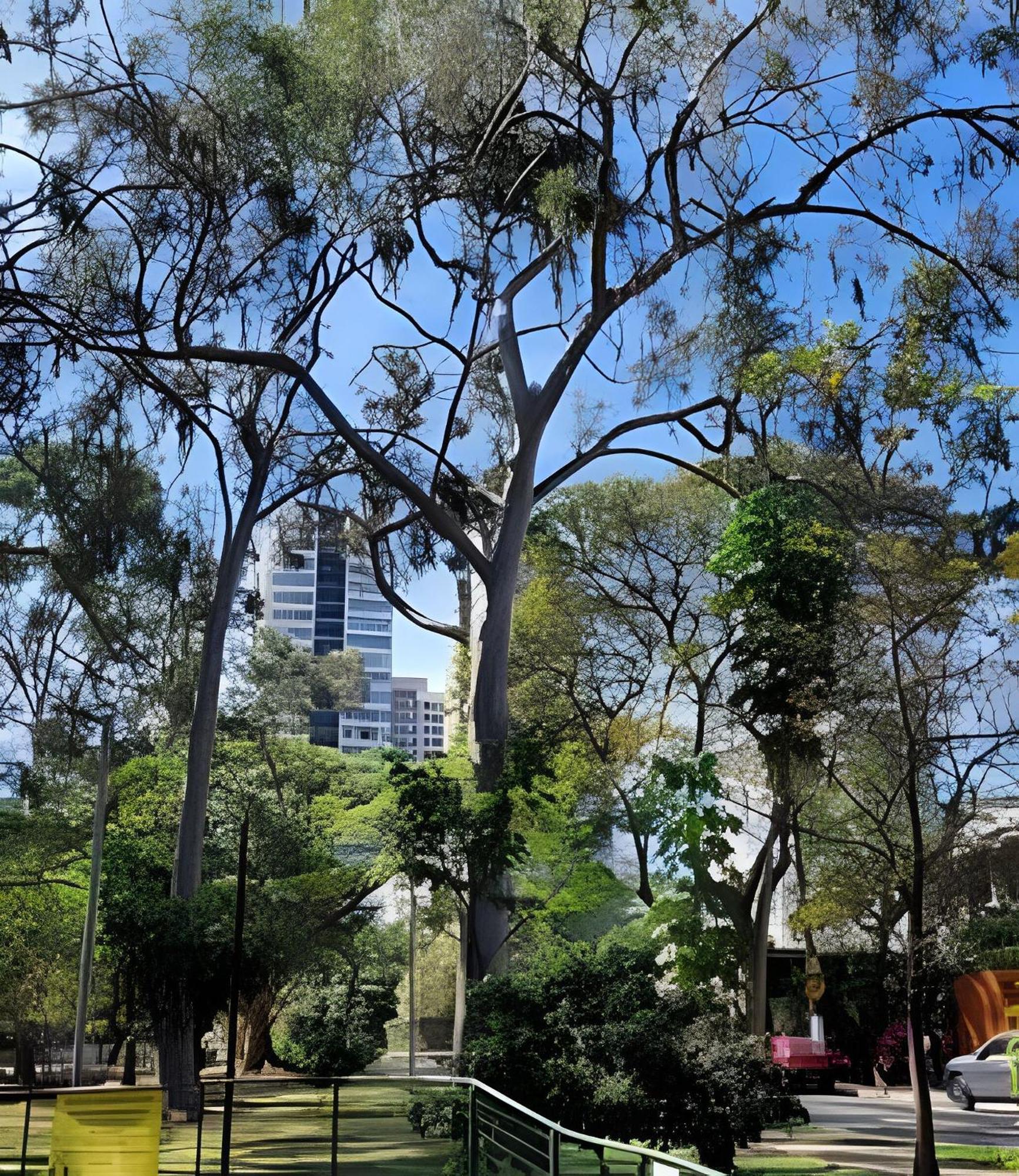 Pinheiros-prox. Allianz Parque E Hosp. Clinicas * Sao Paulo