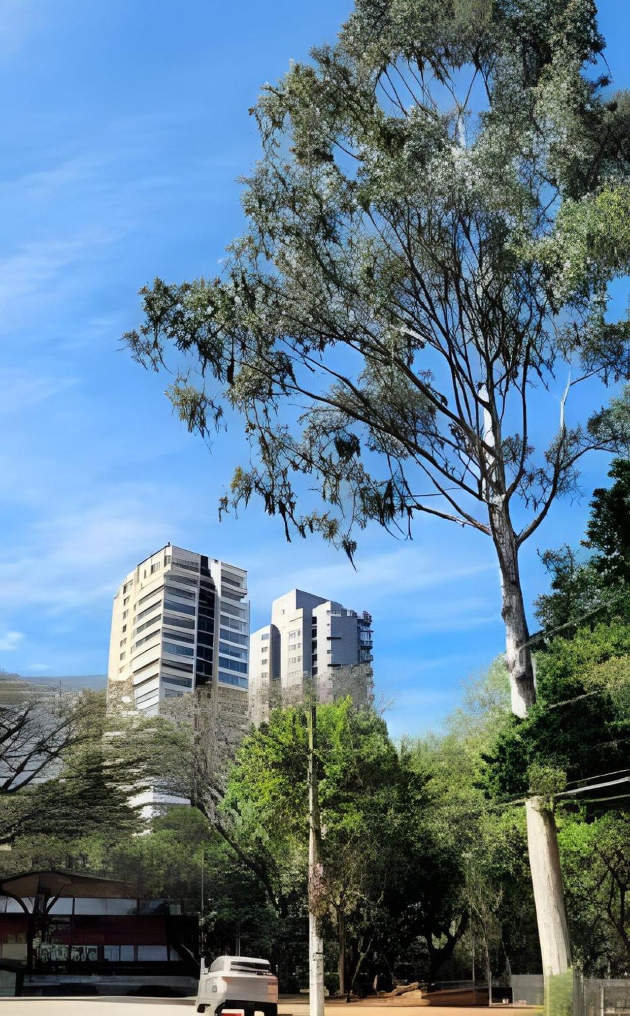Pinheiros-prox. Allianz Parque E Hosp. Clinicas * Sao Paulo