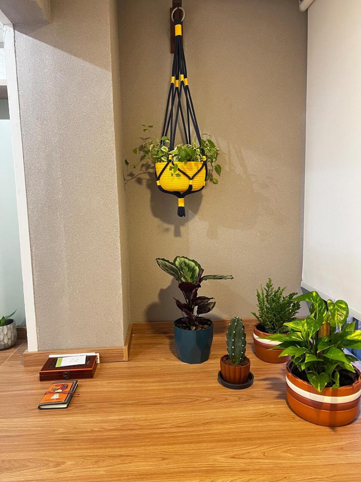 Apartamento Sinta-se Em Casa Allianz Parque *