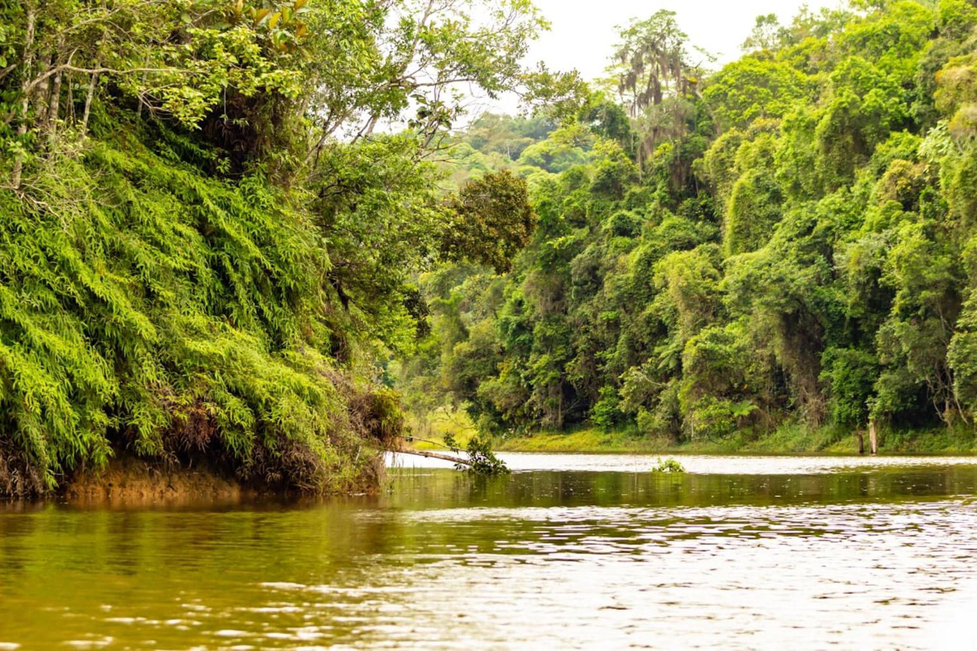 Casa de férias Chacara Pe N'agua, 80 Km De Sp, Piscina E Aquecido *