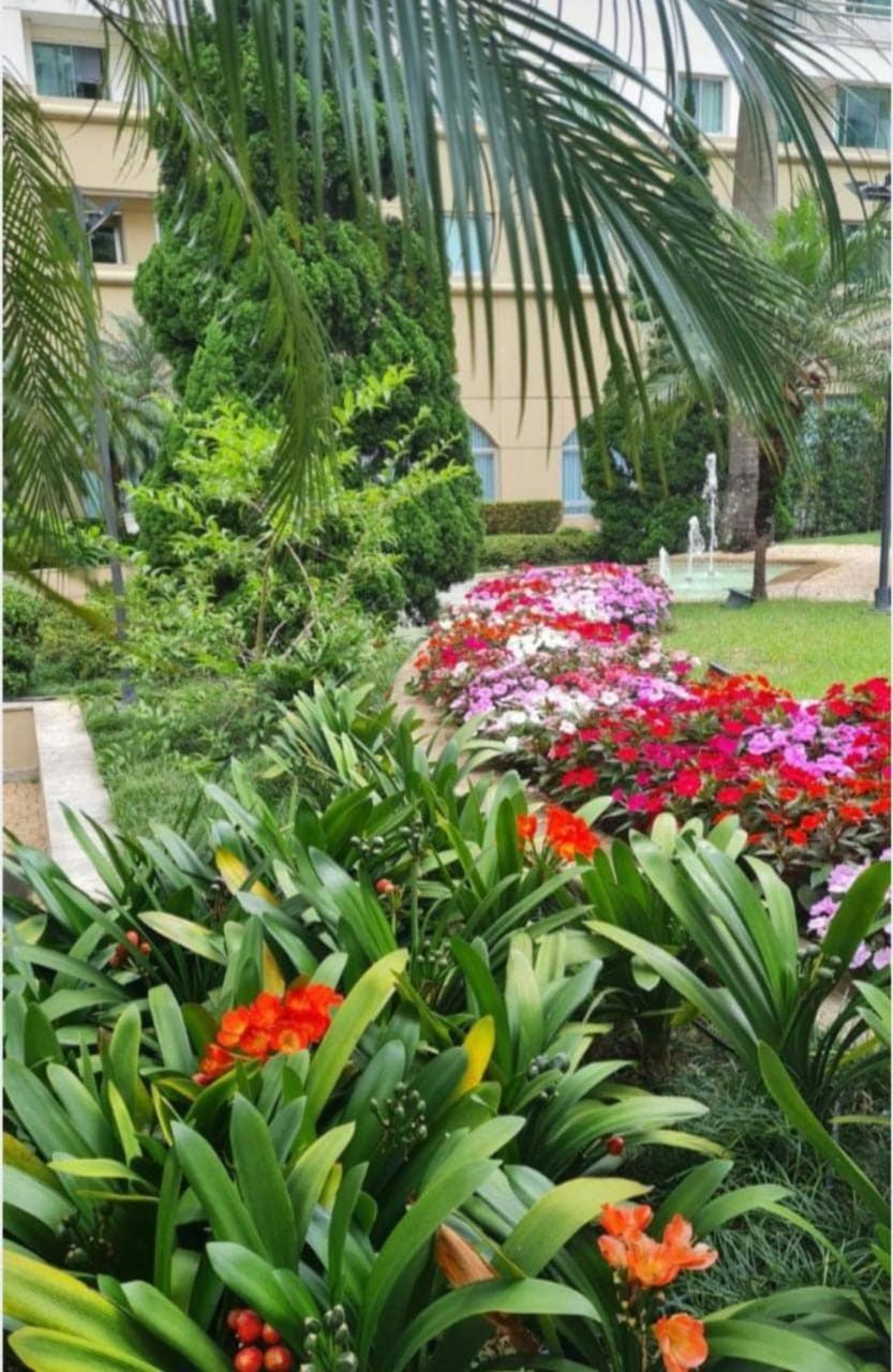 Lindo Apto Proximo A Paulista E Augusta! Apartamento