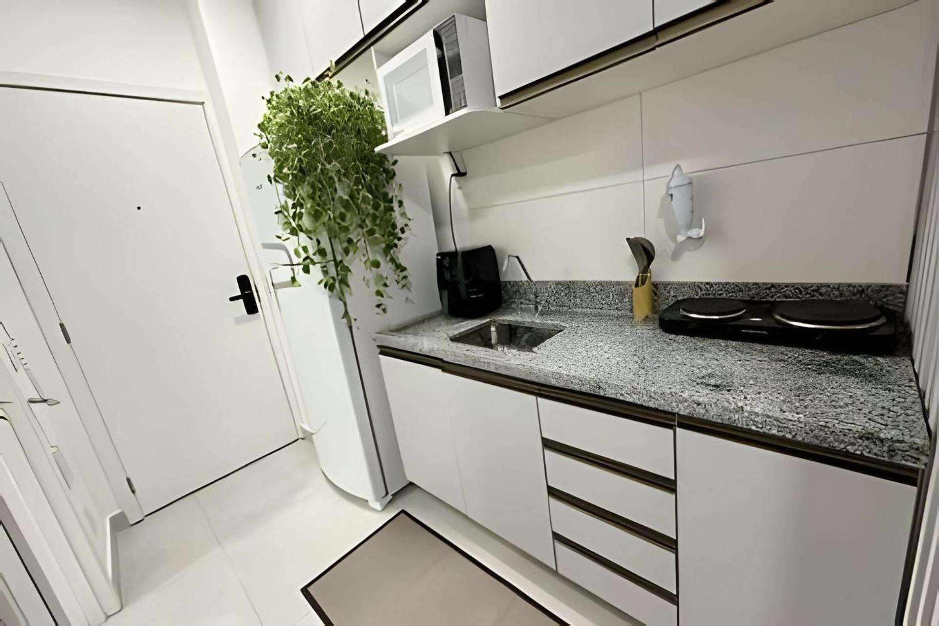 1119 C/garagem Proximo Ao Metro Butanta Usp