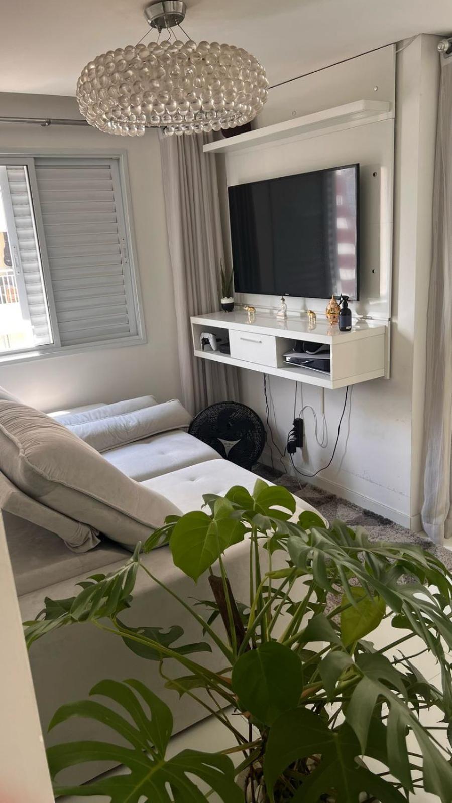 Mobiliado No Cambuci Apartamento