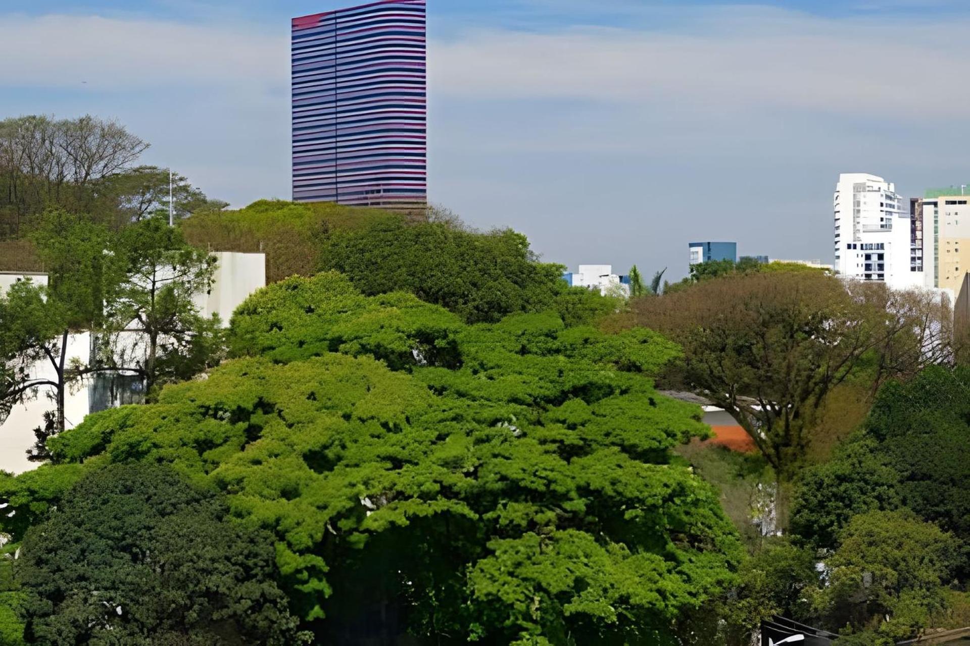 Garden Panoramico Premium Apartment