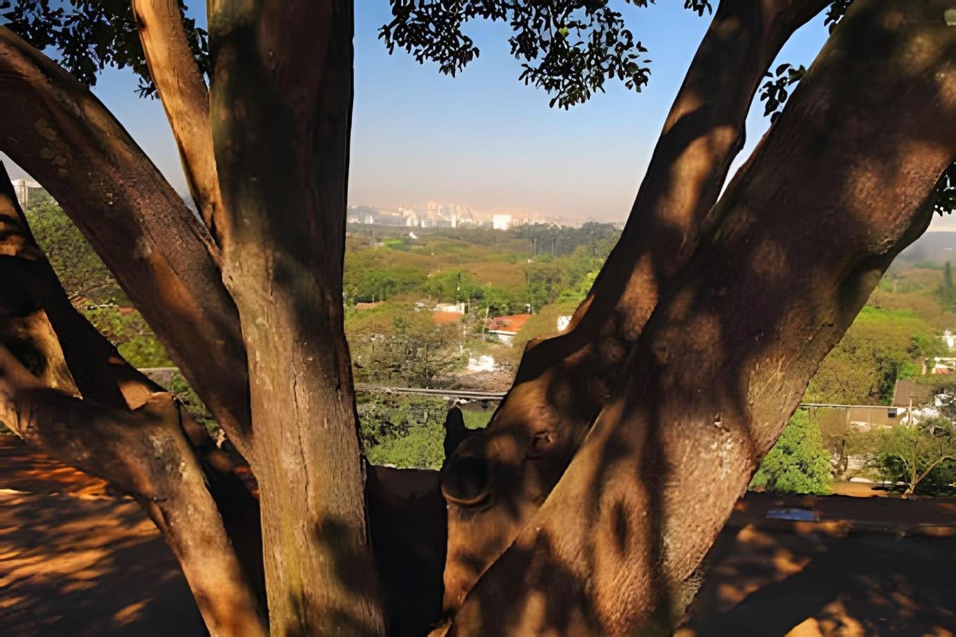 Garden Panoramico Premium Apartment Sao Paulo