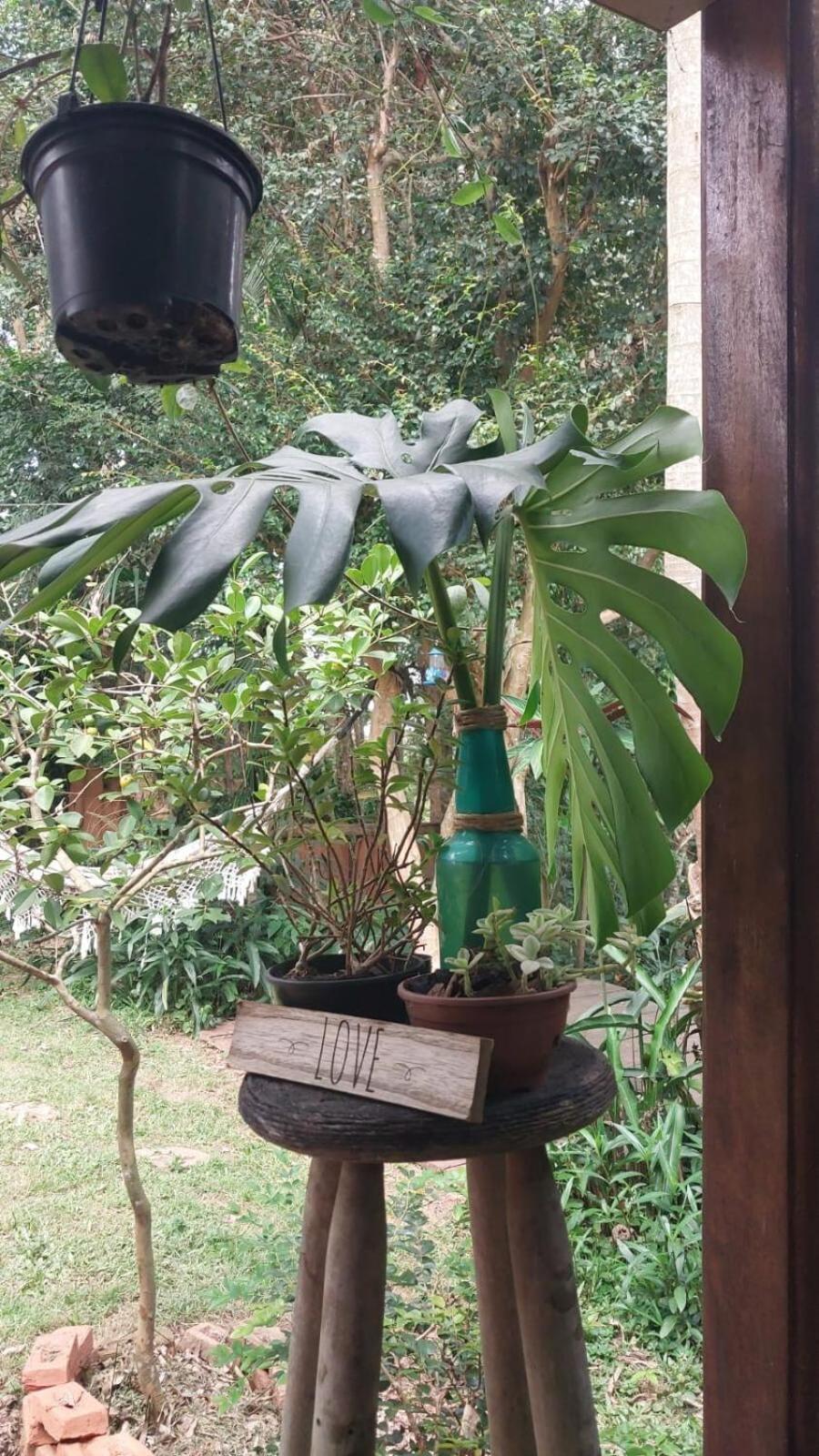 Casa de férias Container Na Mata Atlantica *