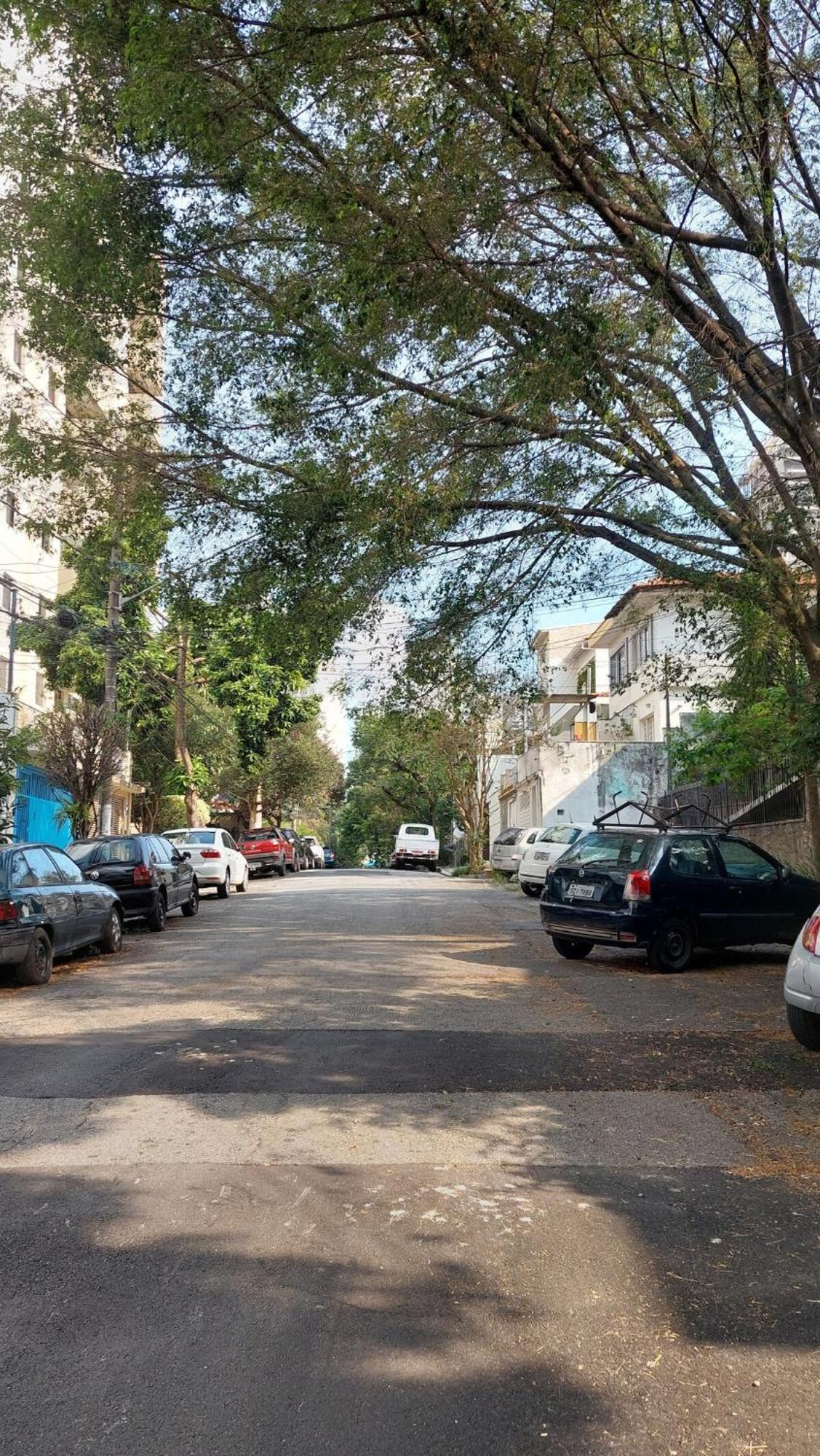 Casinha Na Madalena * São Paulo