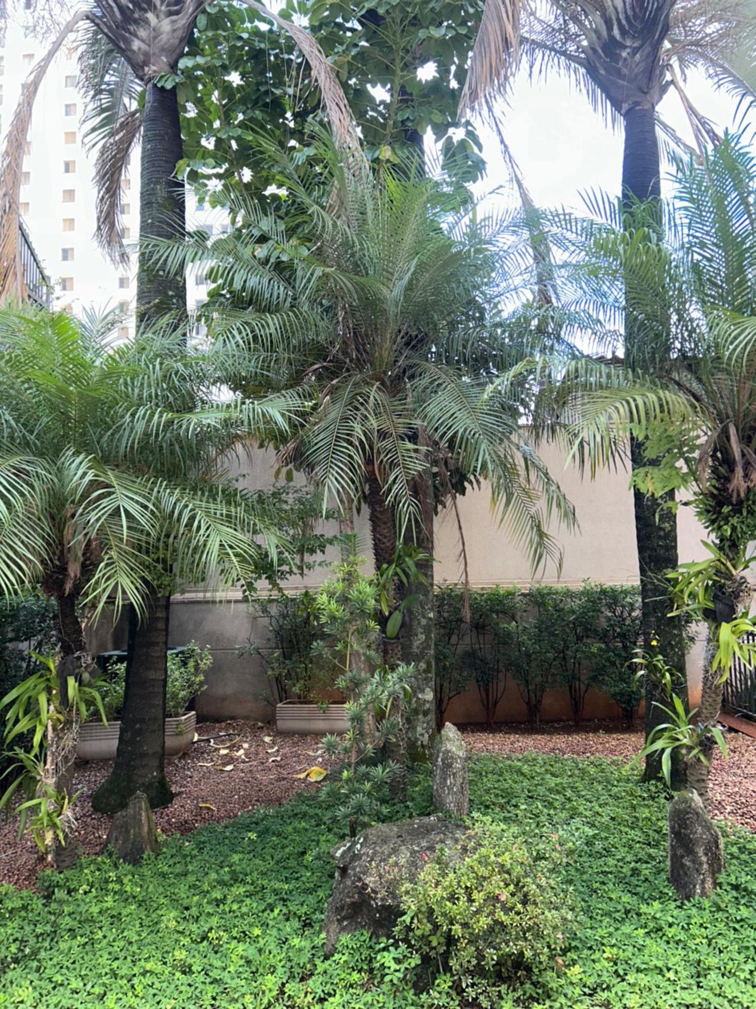 Luxuoso Flat No Mercure Ibirapuera Privilege Moema - 5 Min Do Aeroporto * São Paulo