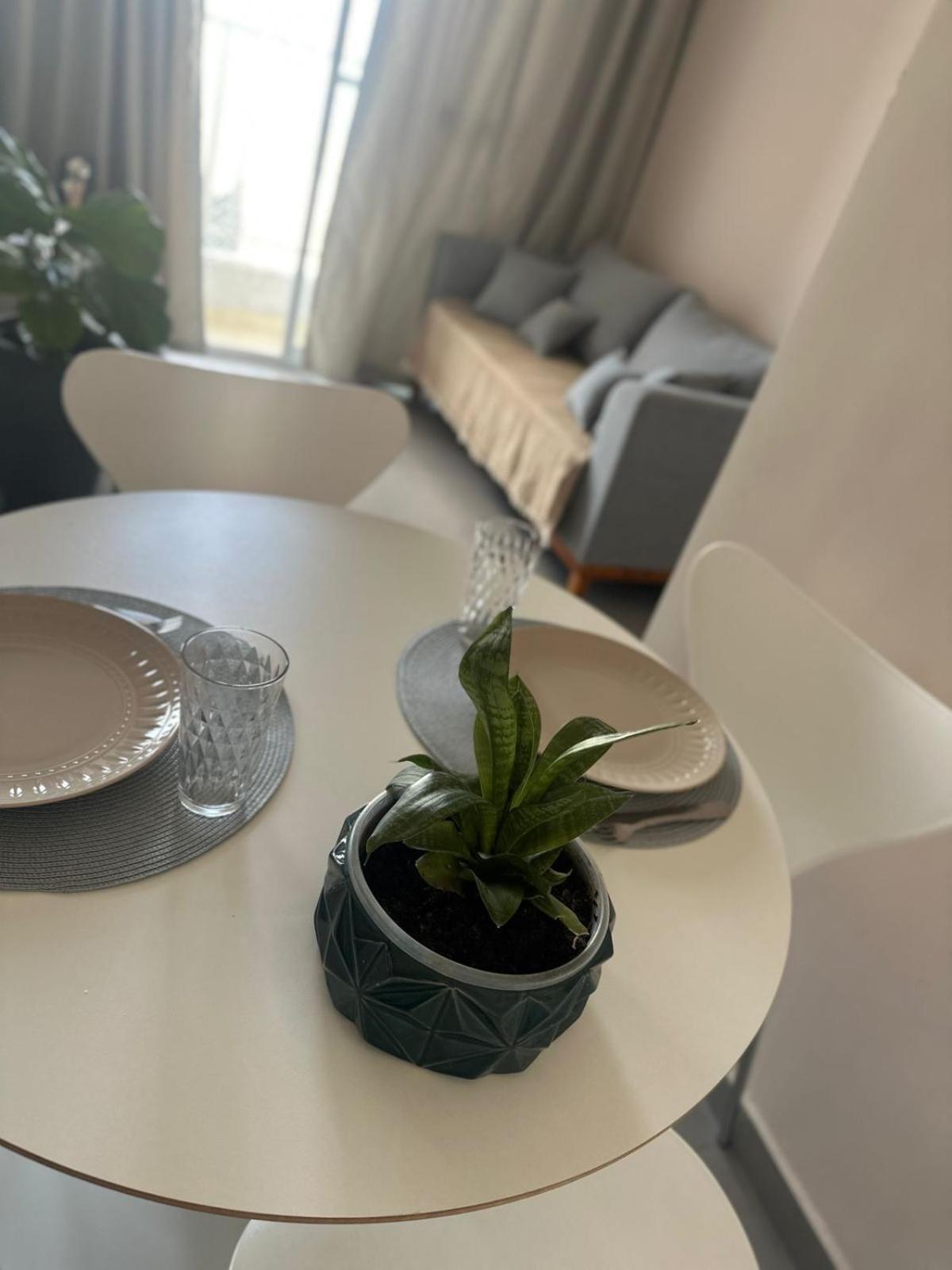 Apartment Tulipa Azul - Aconchegante Em Sp *