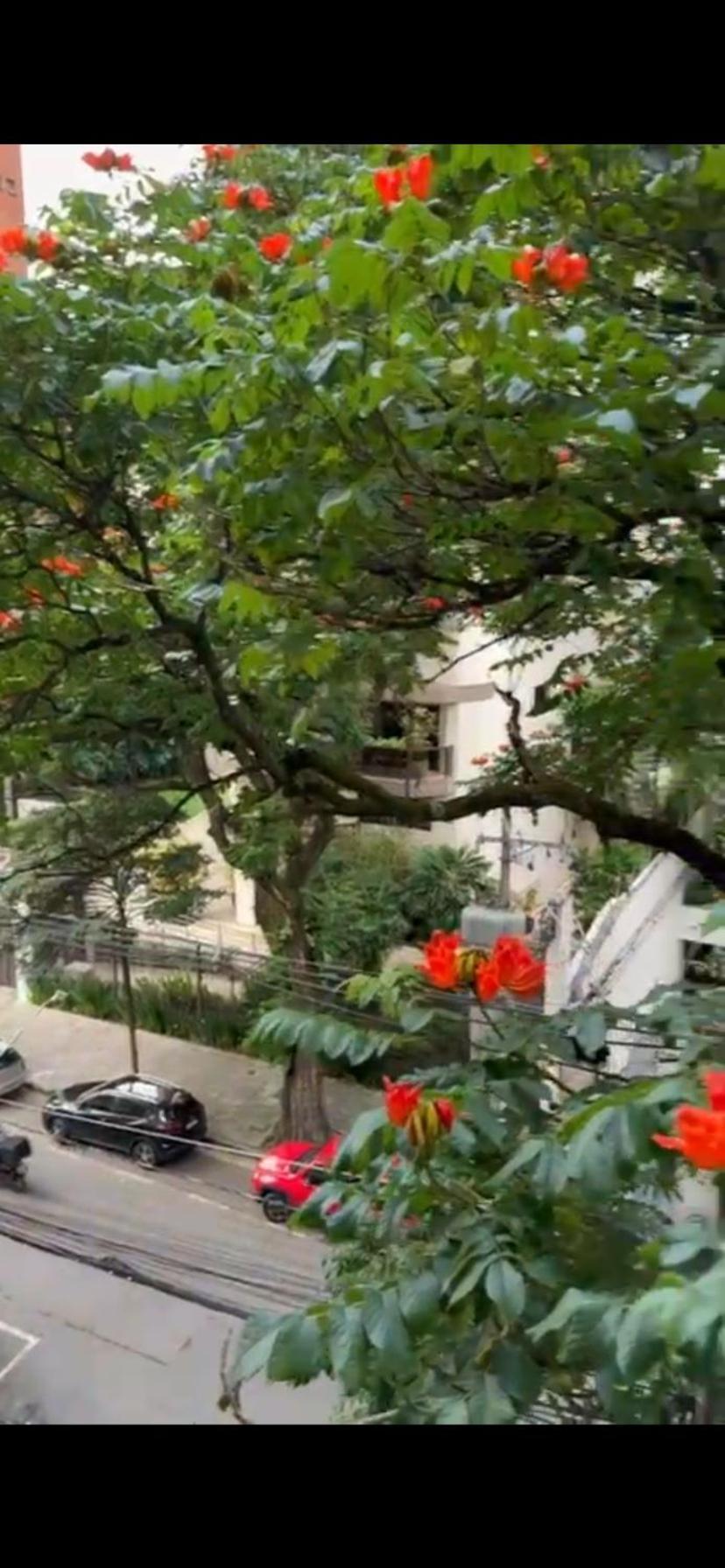 Hotel Aconchegante No Itaim Bibi 4*