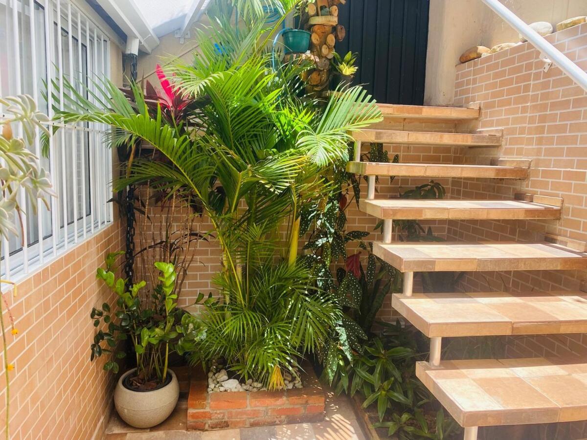 Casa 3 Fresca E Agradavel Em Otima Localizacao !!! São Paulo