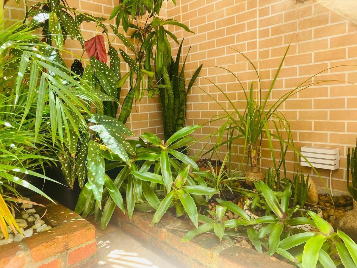 Casa 3 Fresca E Agradavel Em Otima Localizacao !!! * São Paulo