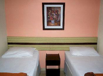 Hotel Paulistano Terminal Tiete Sao Paulo