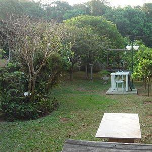 Vista Alegre